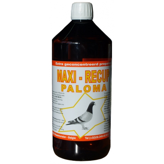 PALOMA MAXI-RECUP 1L - elektrolit, witaminy, aminokwasy